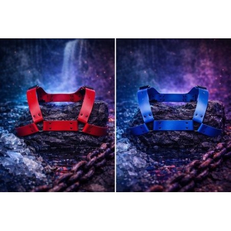 Harnais Bulldog en cuir bleu, ajustable avec attaches en métal, résistant et confortable. Fabriqué en Europe Poppercaen